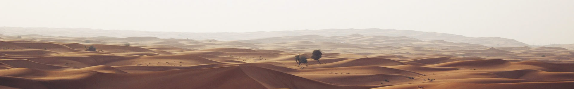 ݶԽƼ޹˾